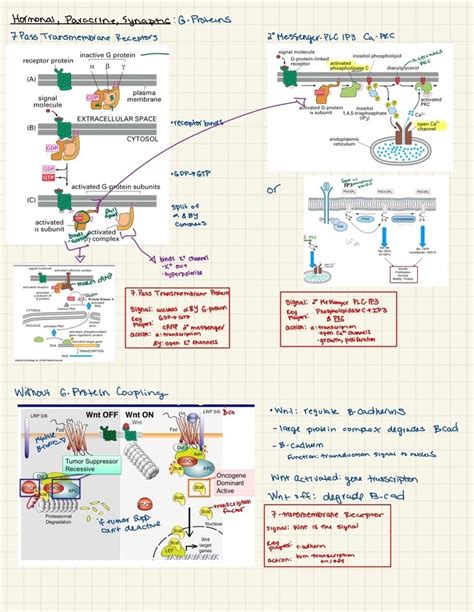 Difference Between Mechanical and Membrane Explained